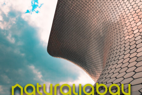 Aerosana Visconn Aerosana Visconn.Deutschland, Schwetzingen, Juli 2019. Verarbeitungs und Anwendungsbilder von Aerosana Visconn.Aerosana Visconn