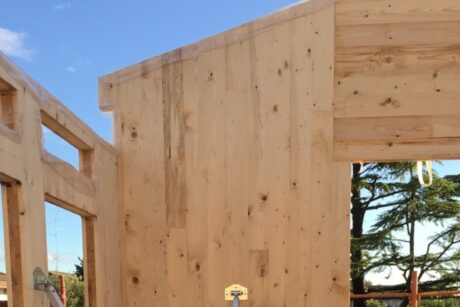 SETTORE CASE IN LEGNO