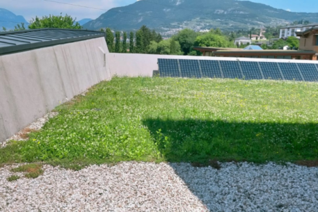 VERDE PARIETALE E VERDE PENSILE