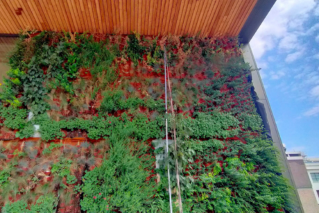 progetti di verde tecnologico