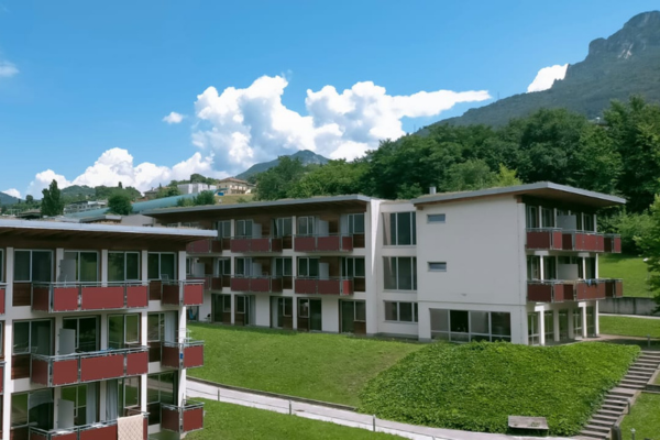 Tessuto verde della città