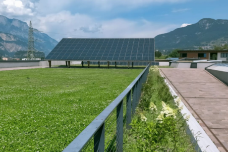 Progettazione degli Spazi Verdi