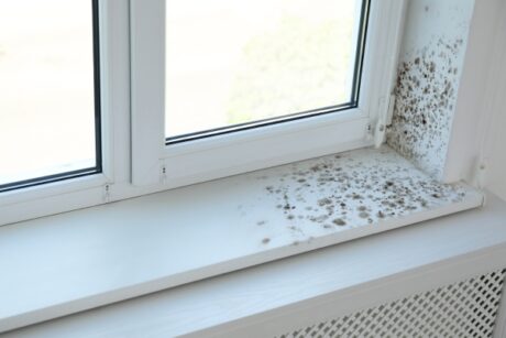 Come risolvere il rischio muffa strategie tra superfici opache e serramenti